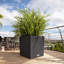 Moneak Planter Box-1392064359-1392064357