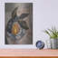  «A Plat Of Fruit 5» par Marian Parsons, art mural en métal, 12 po x 16 po-292984601