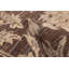 Tapis brun Jamshidpour 8 pi 0 po x 10 pi 3 po
