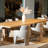 Abella 17'' H Upholstered Ash Armchair