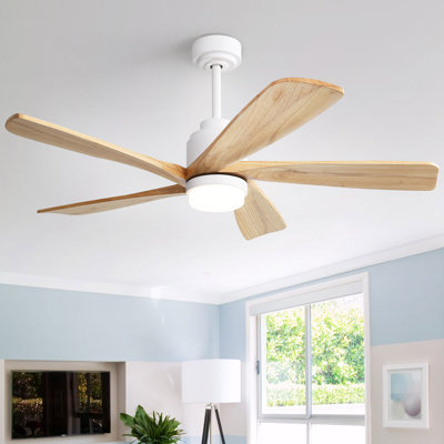 Damecia 52'' Ceiling Fan with LED Lights