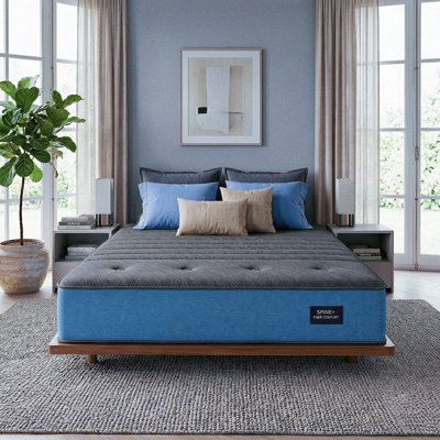 12" Queen Extra Firm Hybrid Mattress with Orthopedic Back Support and Motion Isolation