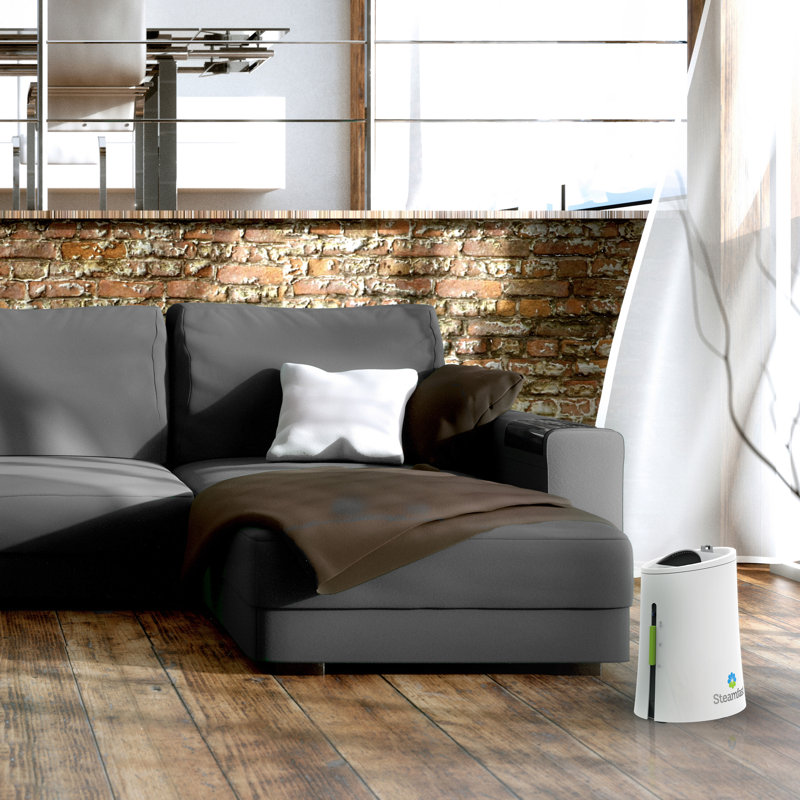 Warm Mist Humidifier & Steam Vaporizer