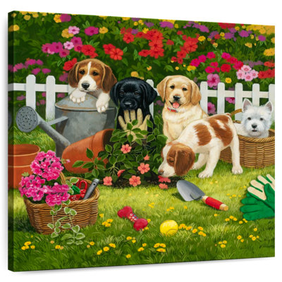 Chiots de jardin Crowle