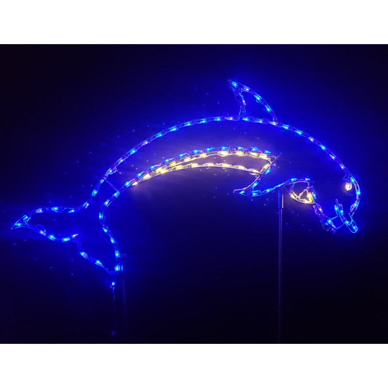 Contour lumineux des dauphins