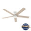 Ventilateur de plafond standard à 5 pales de 52 po avec contrôle mural Burton