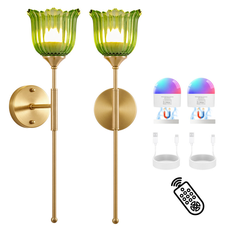 Applique murale à piles avec télécommande, appliques murales rechargeables sans fil dorées, lumière à intensité variable RVB (ensemble de 2)