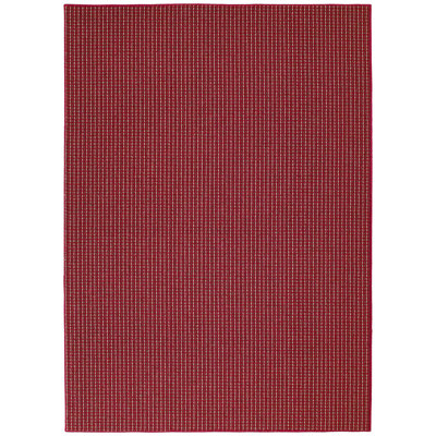 Striped Indoor Rug