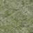 Machine Washable Indoor/Outdoor Cinead ACN1656 Green Rug-104387351