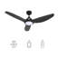 Ventilateur de plafond intelligent 52 po avec télécommande, ensemble d'éclairage DEL, moteur à courant continu, tige verticale incluse