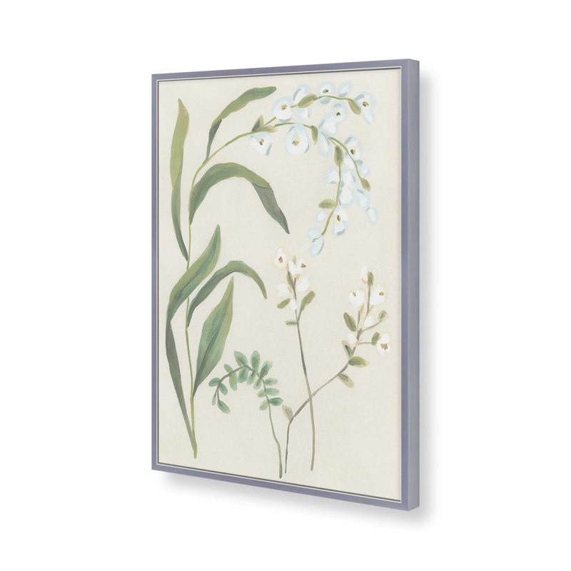 «Snowdrop Stems I» par June Erica Vess, reproduction d'art sur toile, Impression sur cadre ouvert sans papier mat