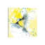 Mésange bleue - reproduction d'art-52990478-52990479-52990485