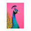 Bolognaise sur un beau paon sur toile-95428024
