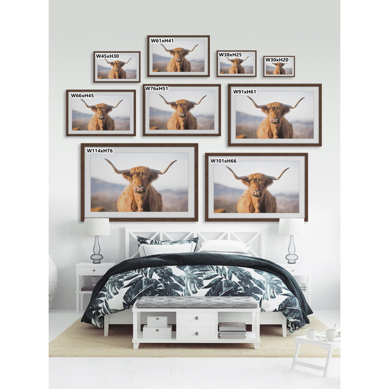 Highland Cow - Print, Brown Framed Paper, 20cm H x 20cm W x 3.81cm D