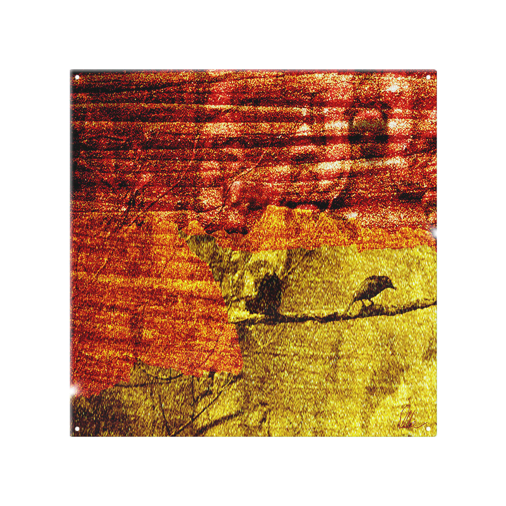 Birds On Branch Splash Back