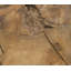 Table de bout haute Keitra