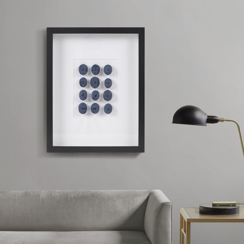 Indigo Shells Natural Sea Urchin Framed Shadowbox Art