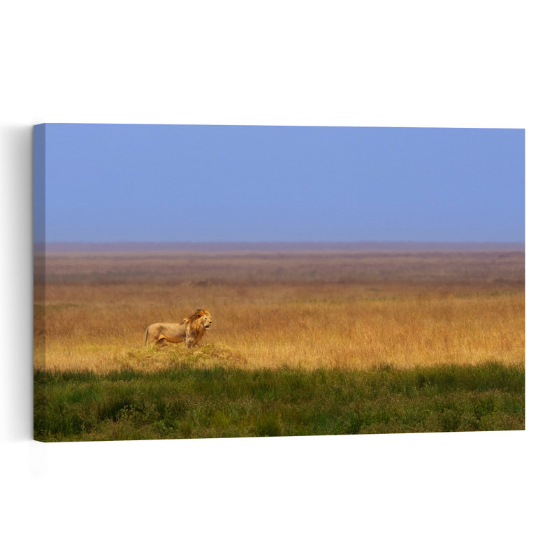 Majestic African Lion Peaceful Serene Abstract Cat Lion Landscape Nature Wall Art Print 1 Piece Wrapped Canvas Wall Art