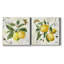 Linen Lemons I - ensemble de 2 reproductions sur toiles tendues-871874125