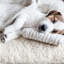 Housse de remplacement pour lit pour chien PETMAKER-1260047222-1285325115
