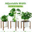 Plant Stand