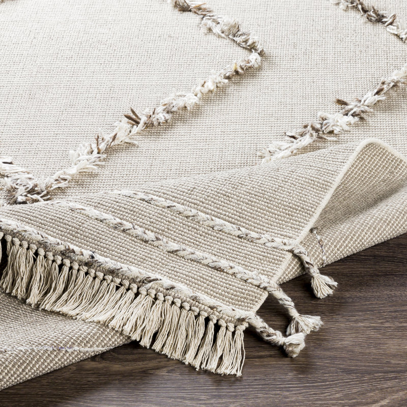 Tapis beige tissé à la main Southwestern, Rectangle 5 pi x 7 pi 6 po