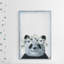 «Cutie Panda», reproduction sur toile tendue-50907832