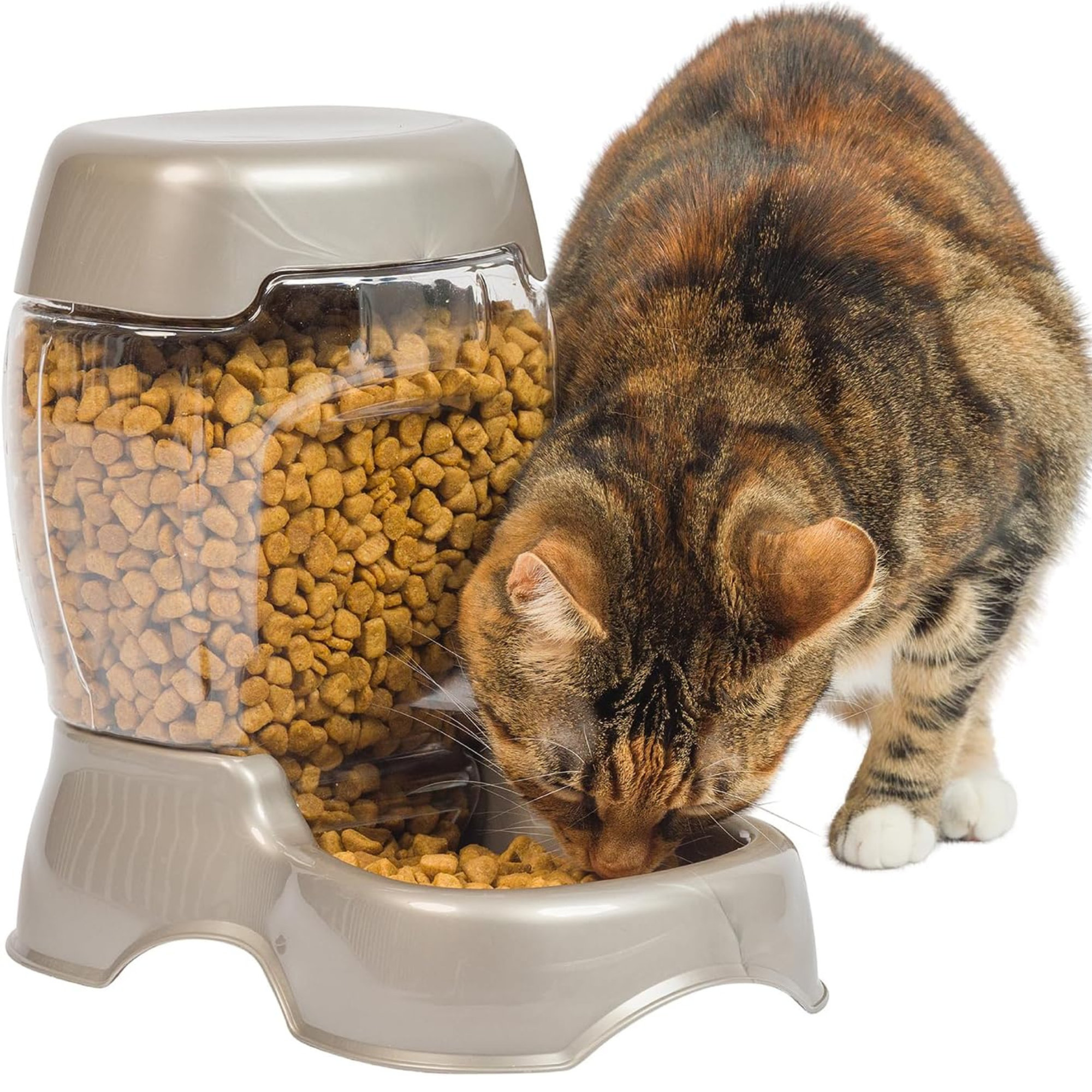 Petmate Automatic Feeder | Wayfair.co.uk