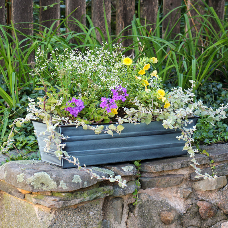 Small Blue Galvanized Metal Wall-Mounted Planter Box