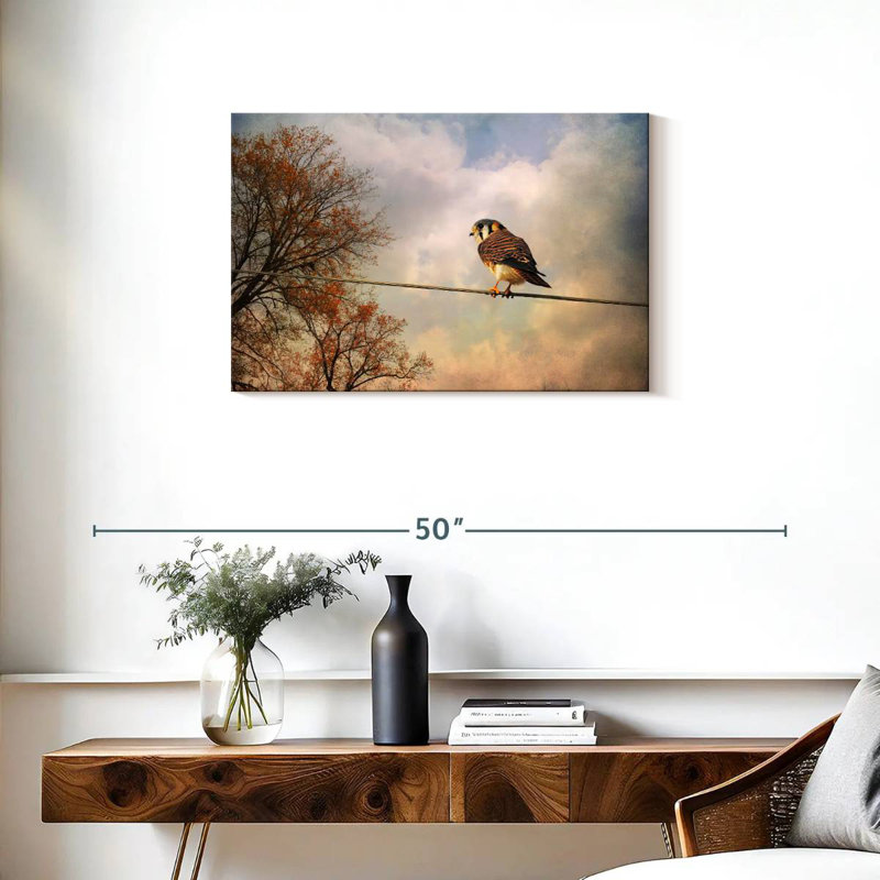 Brampt American Kestrel In Autumn