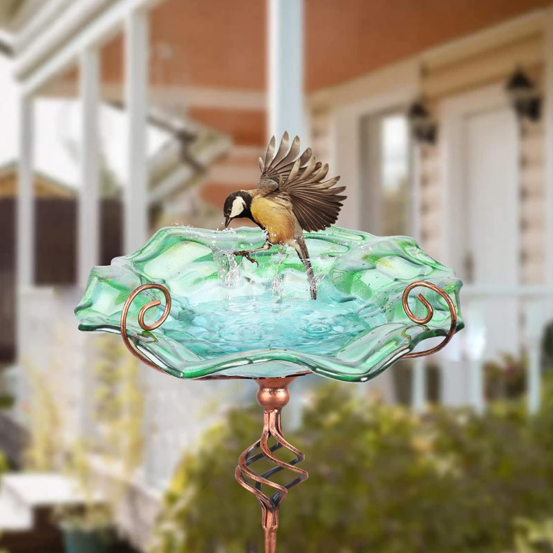 Bain d'oiseaux en verre Binnur, Vert, L 12,8 po x P 13,23 po