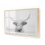 Imprimé de vache Highland ludique-255744786-255744811