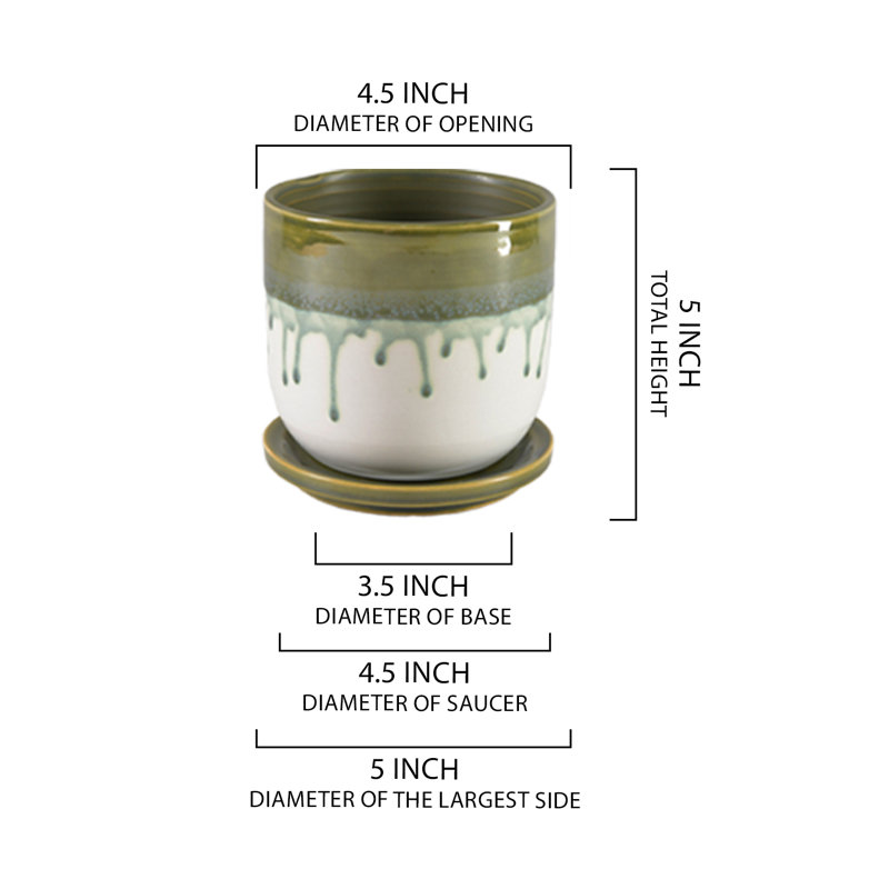 Pot à fleurs en céramique avec soucoupe Hokku Designs Matcha