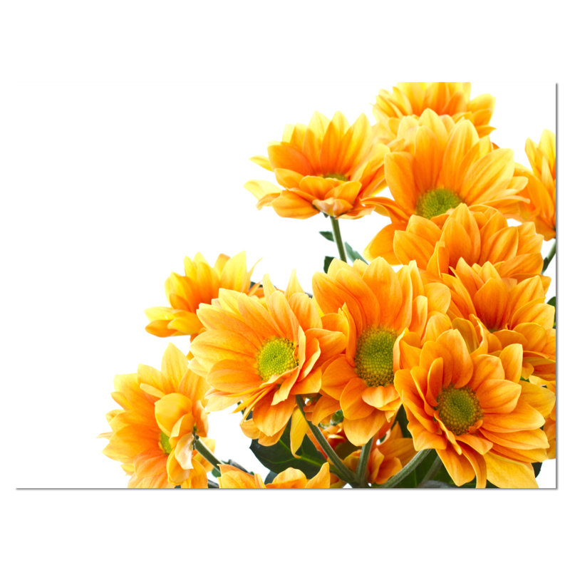 « orange florals chrysanthemum », reproduction de photo sur toile tendue, H 30 po x l 40 po