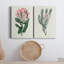 Protea N13 - ensemble de 2 impressions-909019856-909019862