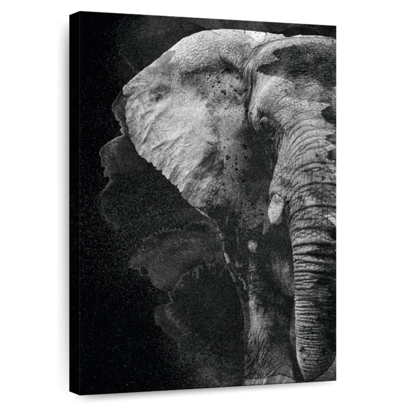 Brampt Elephant Face Black And White, 48" H x 32" W