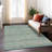 Machine Washable Indoor/Outdoor Claudian ACN1644 Teal Rug-109536040