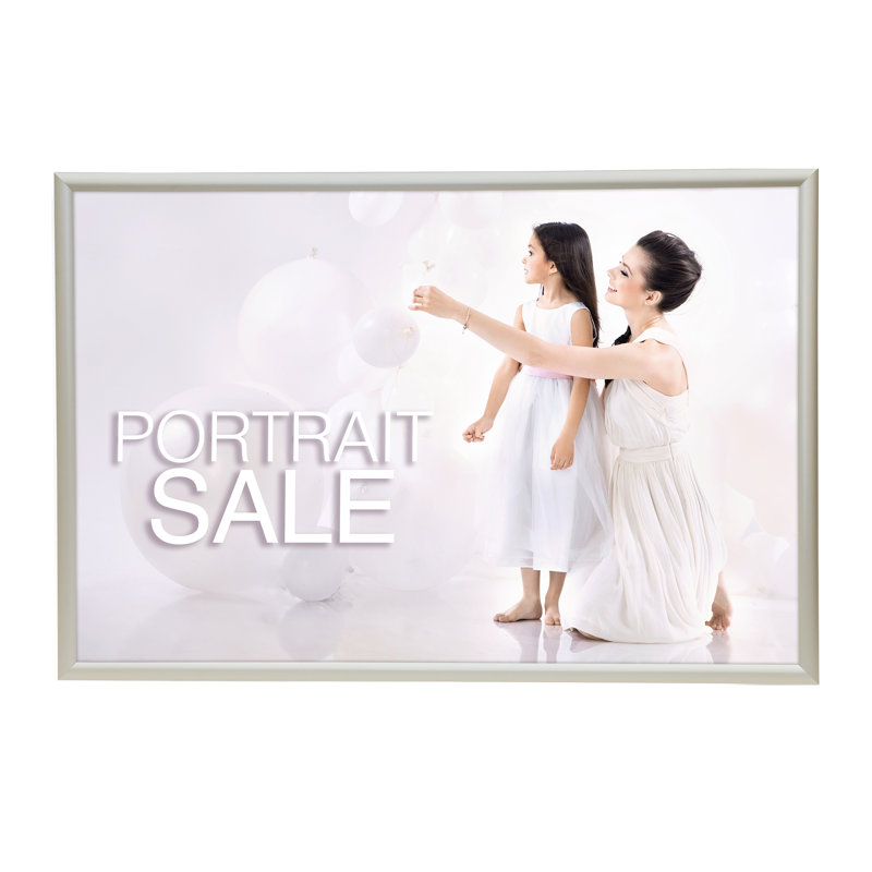 Cadre photo Jeevan, 24 po x 30 po, Argent