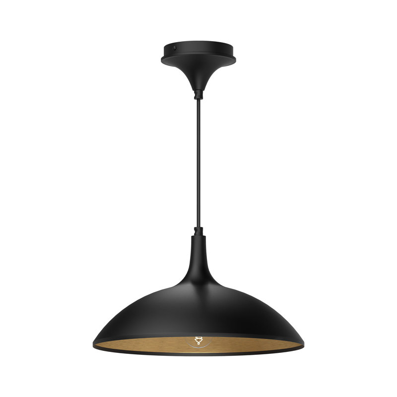 Tabitha 1 - Light Single Pendant, Matte Black