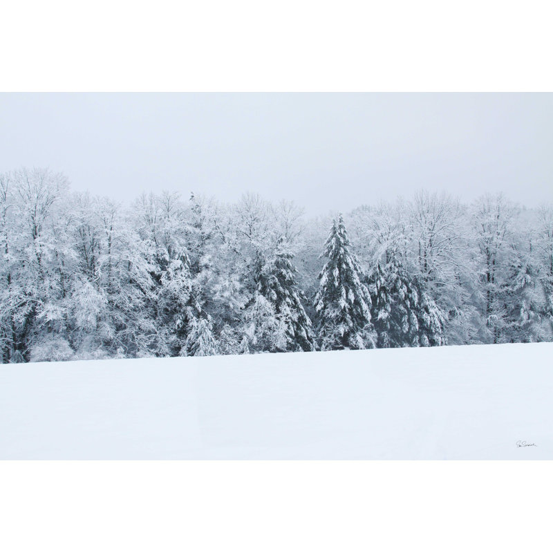 Snowshoe Hill, H 8 po x l 12 po