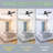 Chrisel Ceiling Fan with Light Kit