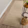 Dionne Wool Indoor Rug