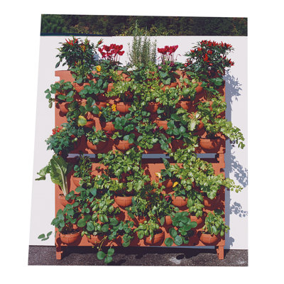 Gillymar Vertical Garden