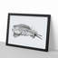 Feather by Jean Bernard - Picture Frame Drawing Print-55536027-55536026