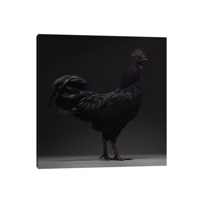 Ayam Cemani par - Toile tendue