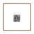 Tucson Sand