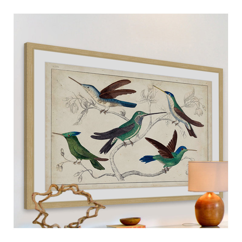 «Hummingbirds», reproduction encadrée, H 24 po x l 36 po x P 1,5 po