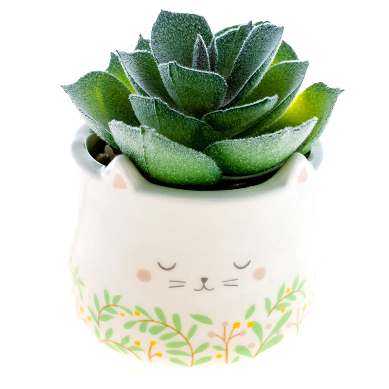 Chat en forme de plante grasse