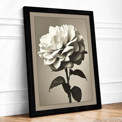 Rose Study Botanical - Framed Print