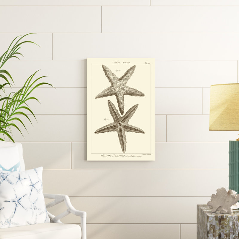 «Striking Starfish I», impression sur toile, H 30 po x l 20 po, Toile tendue